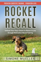 Rocket Recall