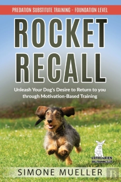 Bertrand.pt - Rocket Recall