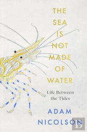 Rockpools
