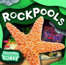 Bertrand.pt - Rockpools