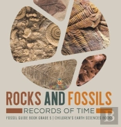 Rocks And Fossils