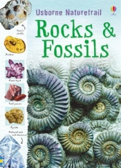 Rocks And Fossils