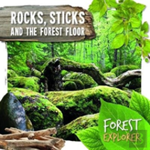 Rocks, Sticks & The Forest Floor