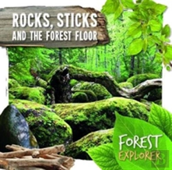 Bertrand.pt - Rocks, Sticks & The Forest Floor