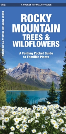 Bertrand.pt - Rocky Mountain Trees & Wildflowers