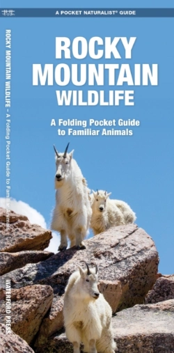 Bertrand.pt - Rocky Mountain Wildlife