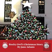 Rocky Owl'S Christmas Story