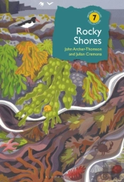 Rocky Shores