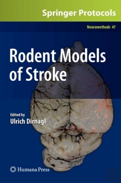 Bertrand.pt - Rodent Models Of Stroke