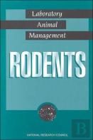 Rodents
