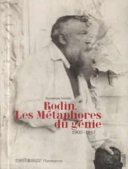 Bertrand.pt - Rodin. Les Metaphores Du Genie