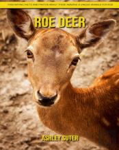 Roe Deer