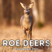 Roe Deers Calendar 2021