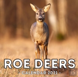 Bertrand.pt - Roe Deers Calendar 2021
