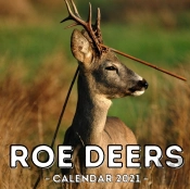 Roe Deers Calendar 2021