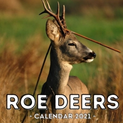 Bertrand.pt - Roe Deers Calendar 2021