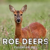 Roe Deers Calendar 2021