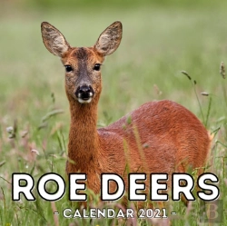 Bertrand.pt - Roe Deers Calendar 2021