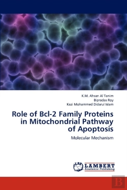 Bertrand.pt - Role Of Bcl-2 Family Proteins In Mitochondrial Pathway Of Apoptosis