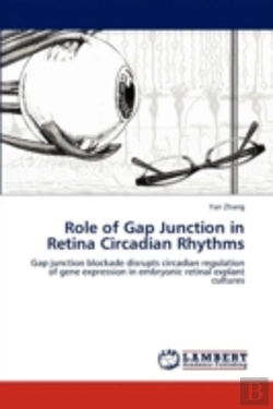Bertrand.pt - Role Of Gap Junction In Retina Circadian Rhythms