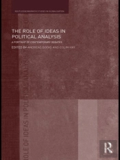Role Of Ideas In Political Analysis