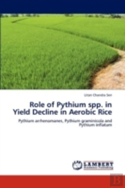 Bertrand.pt - Role Of Pythium Spp. In Yield Decline In Aerobic Rice