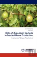 Role Of Rhizobium Bacteria In Bio-Fertilizers Production
