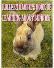 Rolleen Rabbit'S Book Of Learning About Bunnies
