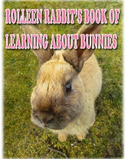 Bertrand.pt - Rolleen Rabbit'S Book Of Learning About Bunnies