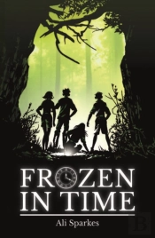 Rollercoasters: Frozen In Time