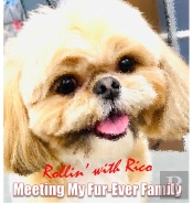 Rollin' With Rico: Meeting My Fur-Ever F