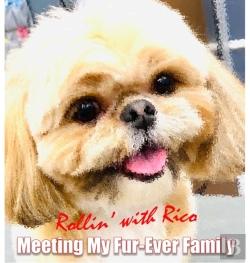 Bertrand.pt - Rollin' With Rico: Meeting My Fur-Ever F