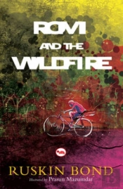 Rom And The Wildfire