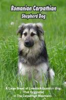 Romanian Carpathian Shepherd Dog
