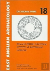 Romanobritish Industrial Activity At Sne