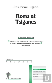 Roms Et Tsiganes (2e Édition)