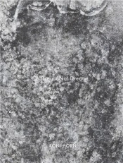 Roni Horn A Dream Not Dreamt /Anglais