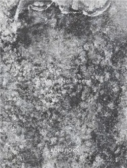 Bertrand.pt - Roni Horn A Dream Not Dreamt /Anglais