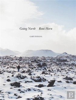 Bertrand.pt - Roni Horn Going North /Anglais