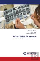 Root Canal Anatomy