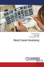 Root Canal Anatomy