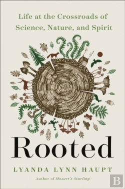 Bertrand.pt - Rooted
