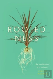 Rootedness