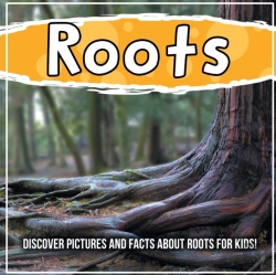 Bertrand.pt - Roots