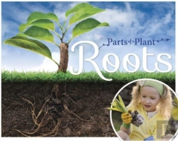 Bertrand.pt - Roots