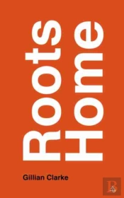 Roots Home