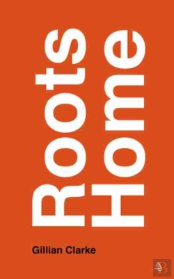 Bertrand.pt - Roots Home