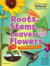 Roots, Stems, Leaves And Flowers