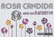 Rosa Candida