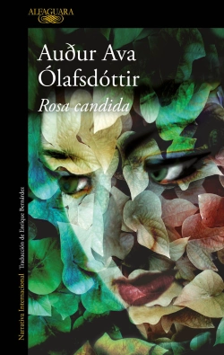 Bertrand.pt - Rosa Candida